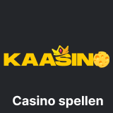 Kaasino сasino spellen